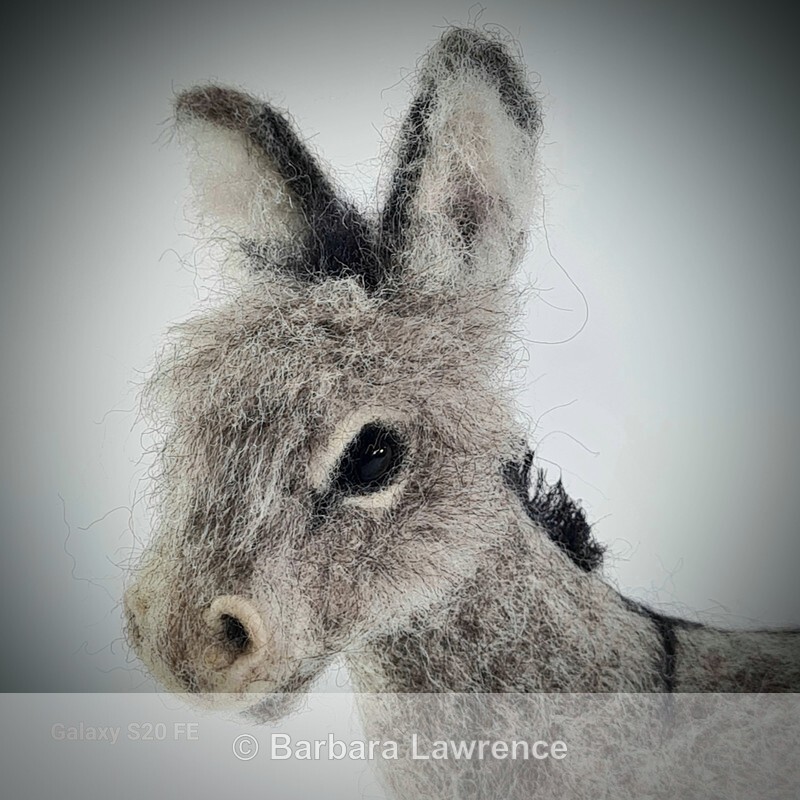 Little Grey Donkey. Photo 2 - Shop