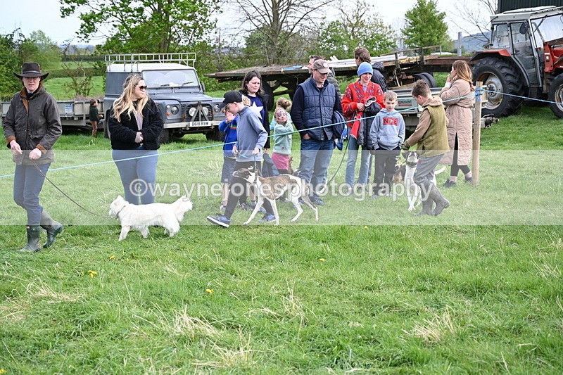 WJ6_8515 - Class 6 Best Rescue