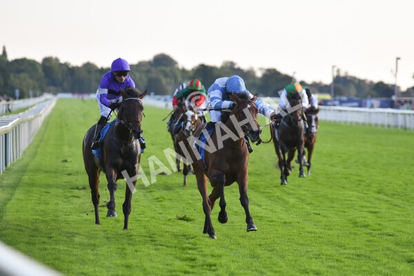 yr08102021r6-16 - Race 6 4.55pm Frank Whittle Partnership British EBF Restricted Novice Stakes