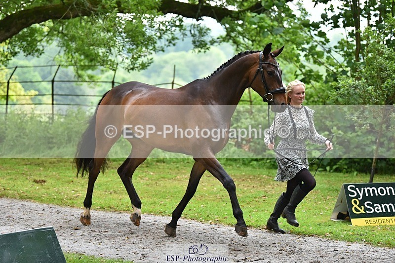 240522-165406-01240 - 227-FIREBALL_III-Oda_Christine_Lippestad