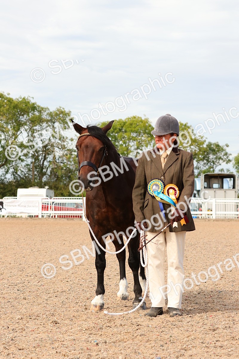 SBM_18063 - Class 707 - IH Groom - Helpers Glass