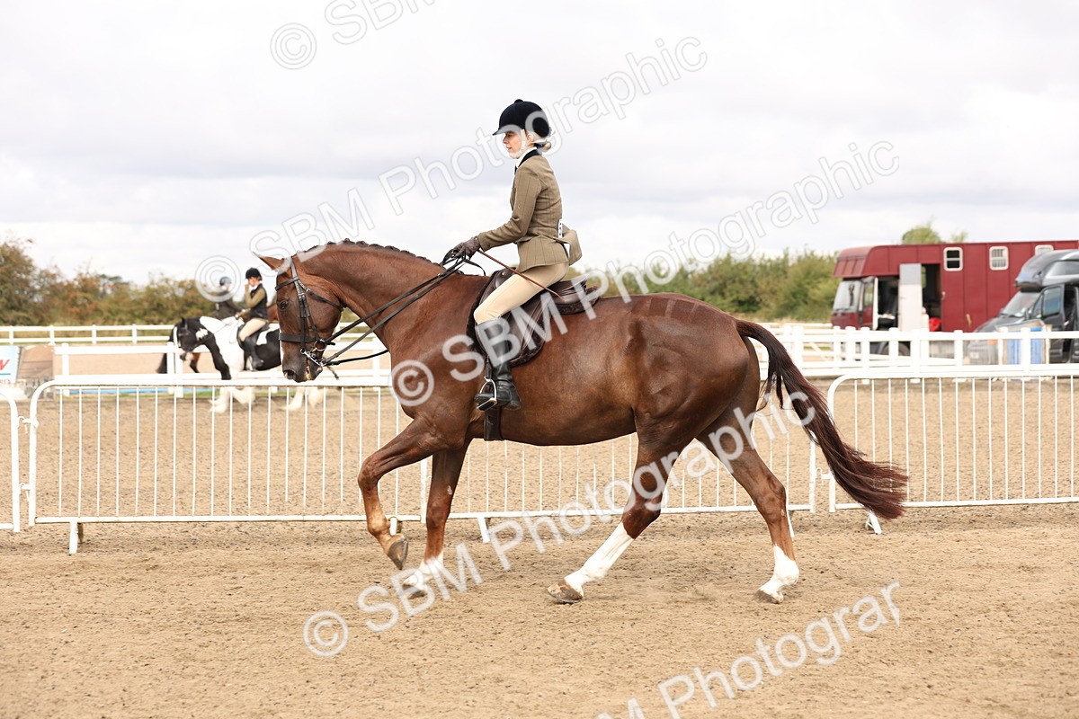 SBM_02846 - Class 53 - Ridden Competition Horse/Pony