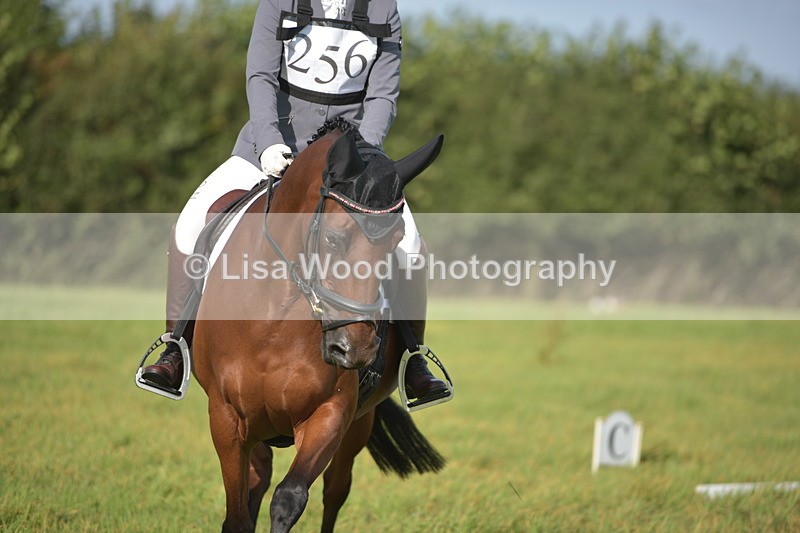RAY_7553 - Class 2B: Trekenning Open: Dressage