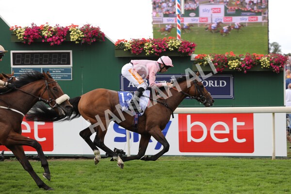 yr19082022r1-26 - Race 1 1.50pm Sky Bet Stakes