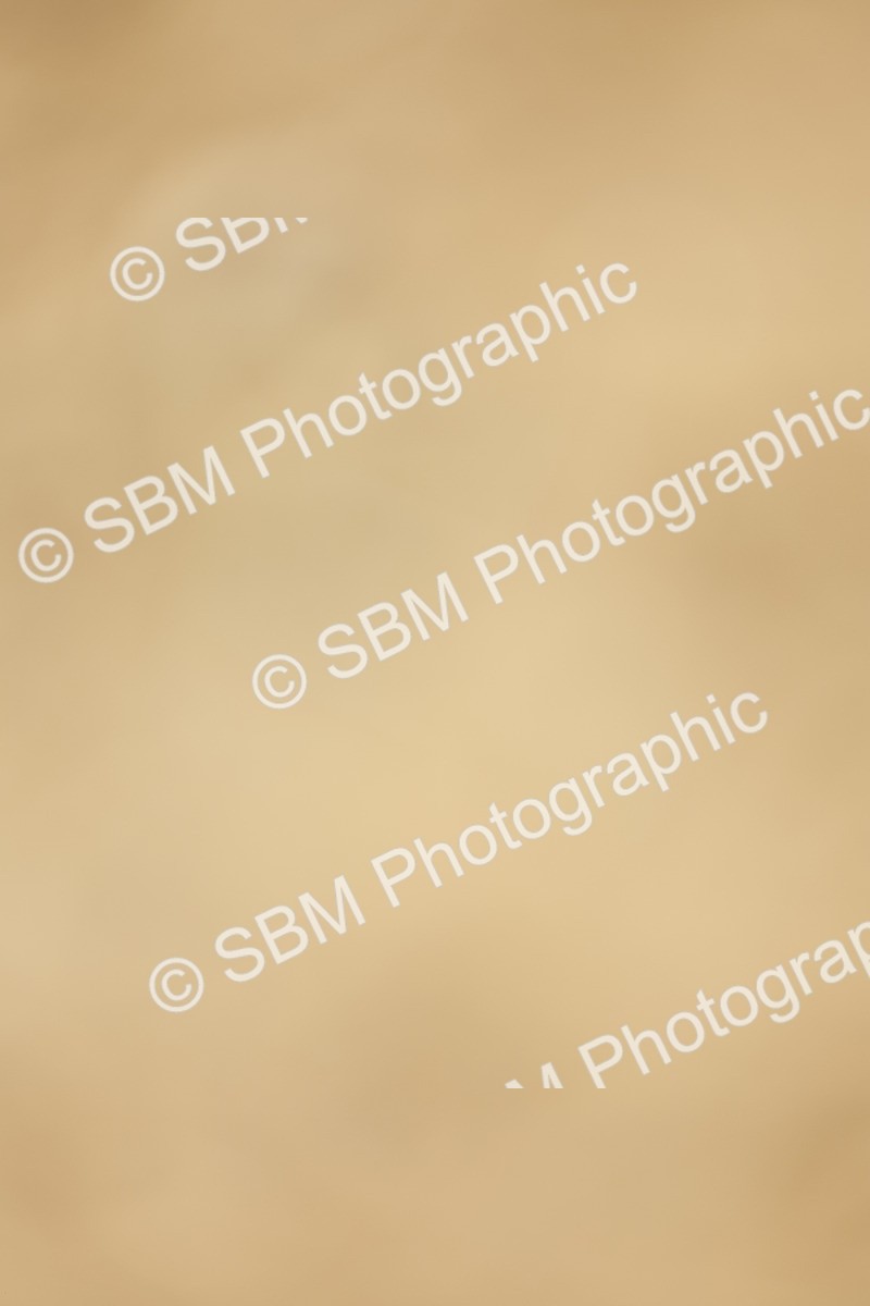 SBM_019490 - Class 21 - jump offs