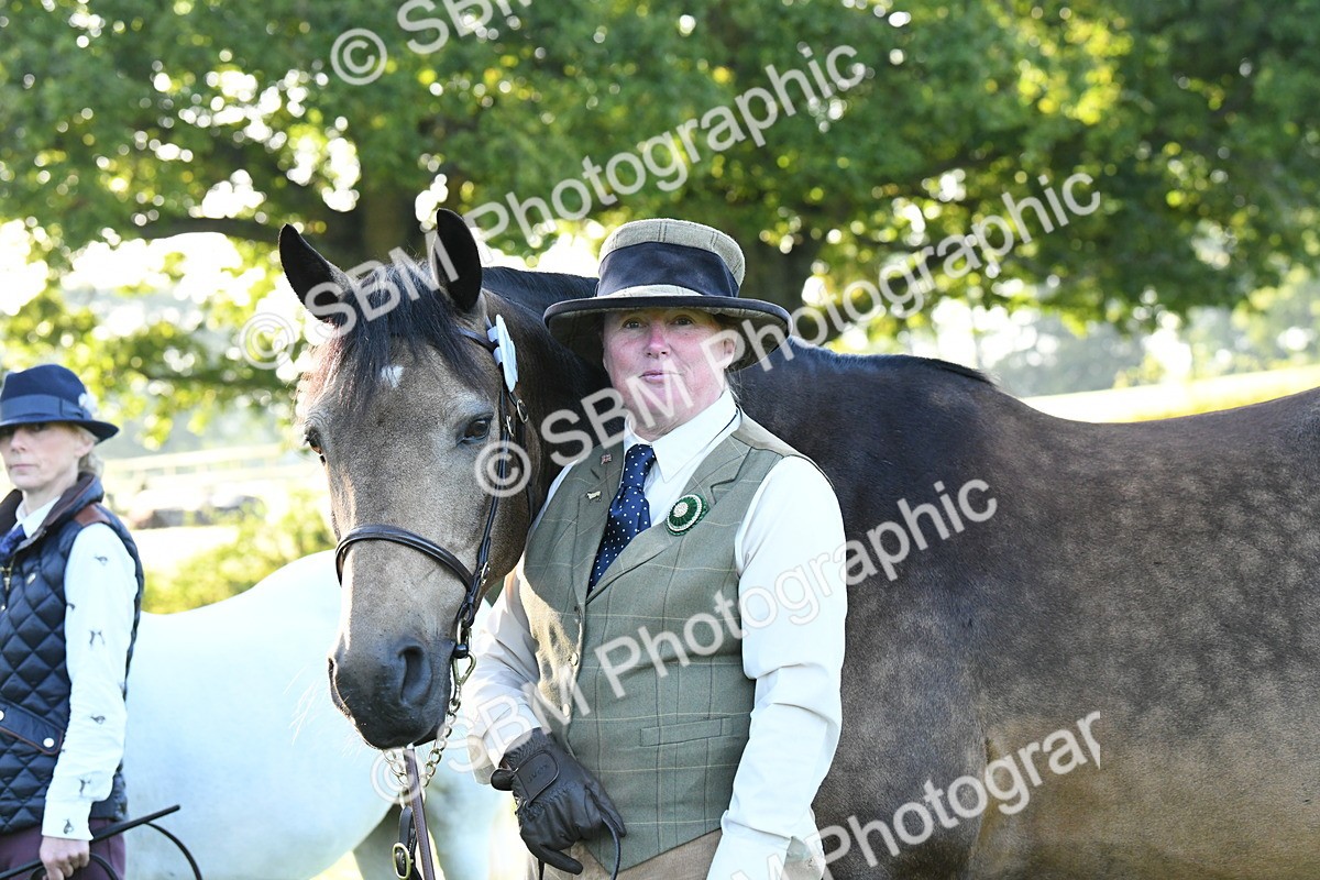 SBM_32695 - S15 - Condition & Turnout In Hand