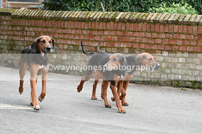 WJ7_1037 - Pub Corner