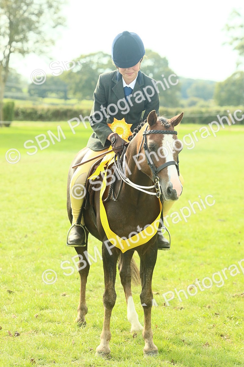 SBM_68158 - S57 - Part Bred Pony Ridden