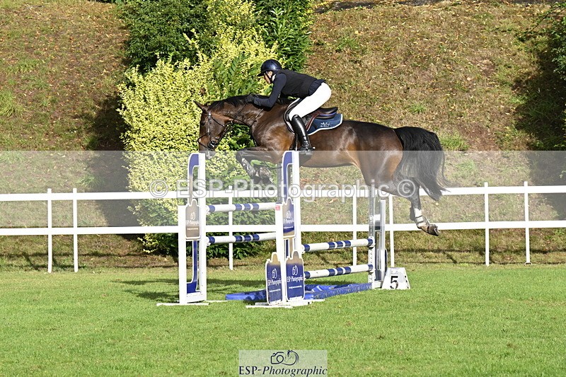 250831A-083758-09017 - Cls 34 Snr Foxhunter