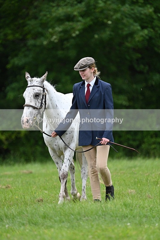 WJ7_4406 - Class 14B Prettiest Mare