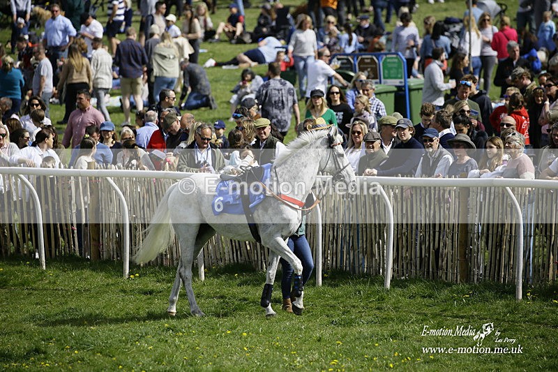 PtP 180422 19 - Old Berkshire PtP Lockinge 18/04/22