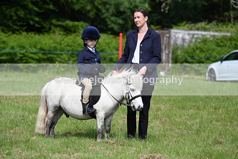 WJ7_0786 - Class 8 First Rally Pony
