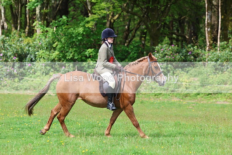 3E7A2639 - Working Hunter Championship