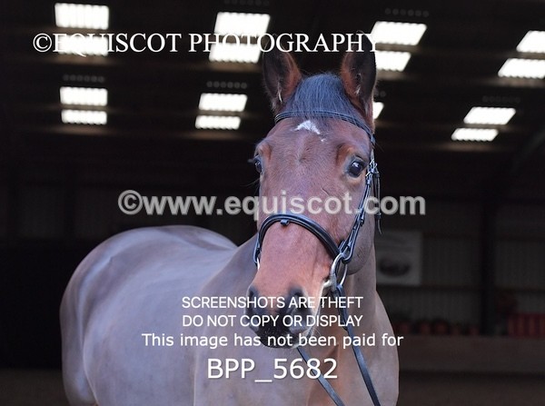 BPP_5682 - Imogen Gray