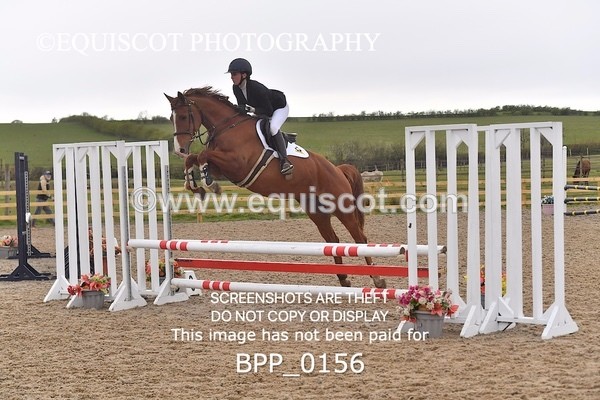 BPP_0156 - CLASS 1 FRI Club/ Unaffiliated 80cms Open