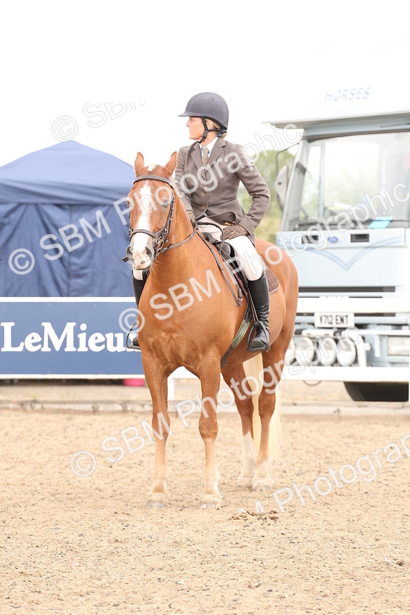 SBM_07505 - Class 59a -  Style & Performance - 80cm (15-19)