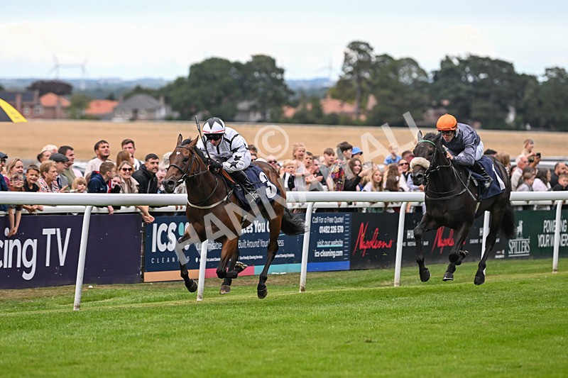 290725-Race 5-U Turn-0673 - Race 5