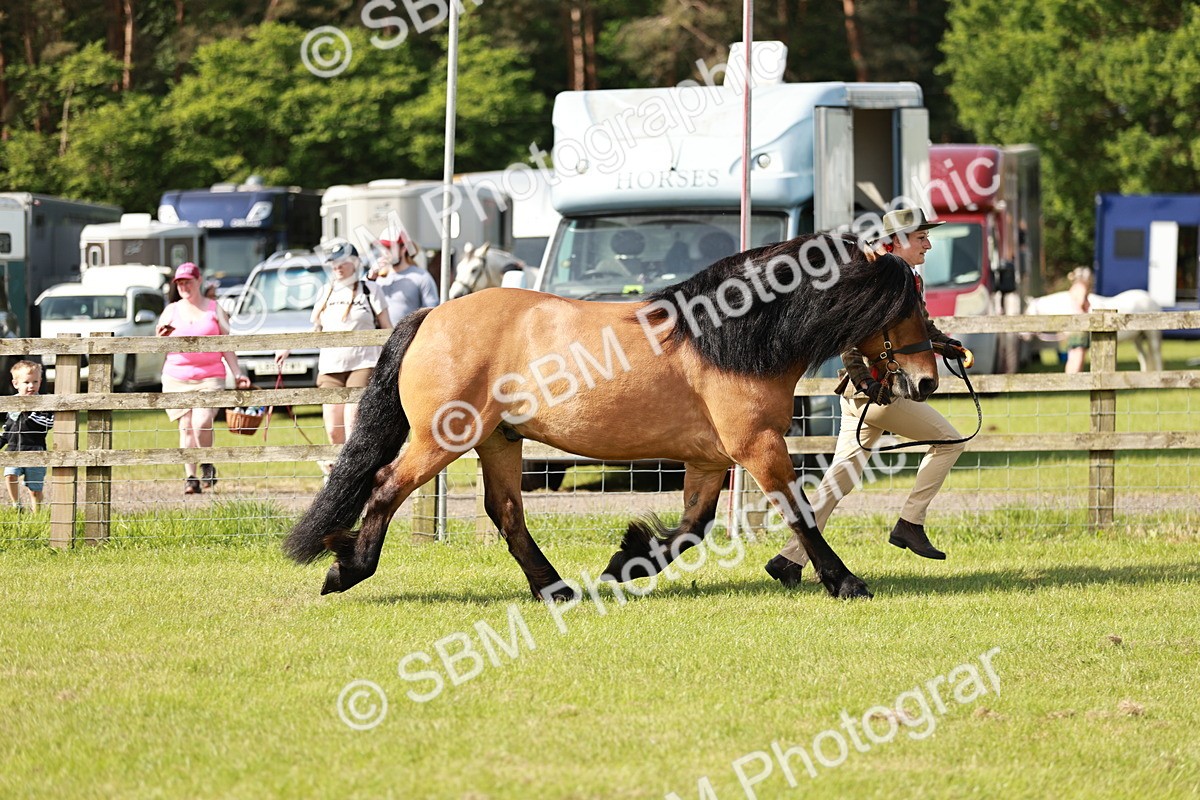 SBM_01597