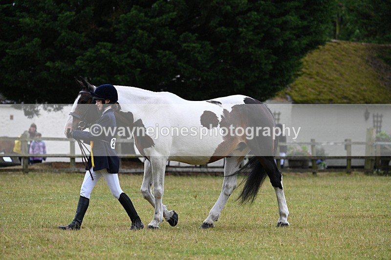 WJ7_6438 - Class 4a Prettiest Mare over 14hh