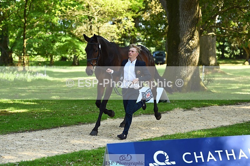 230524-161640-00809 - 262-TREAMBLE-Finn_Healy-WEDTrotUp+DR