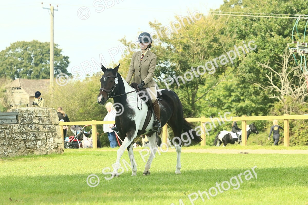 SBM_66525 - S34 - Rehabilitated Rescue Horse & Pony In Hand & Ridden