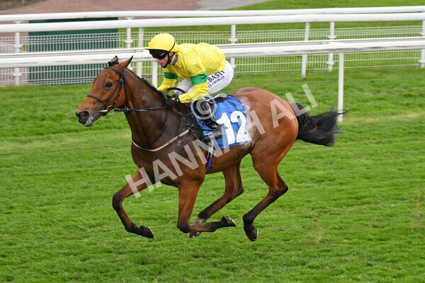 yr14052021r5-32 - Race 5 3.40pm The Jigsaw Sports Branding Handicap