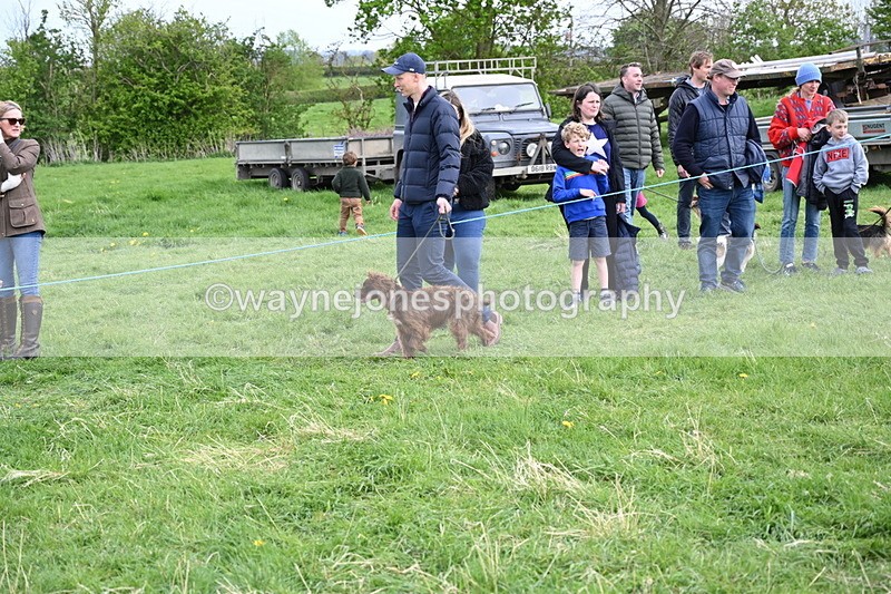 WJ6_8490 - Class 6 Best Rescue