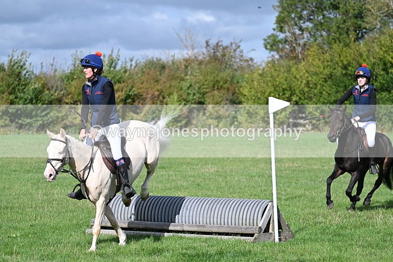 WJ7_8502 - 60cm Pairs