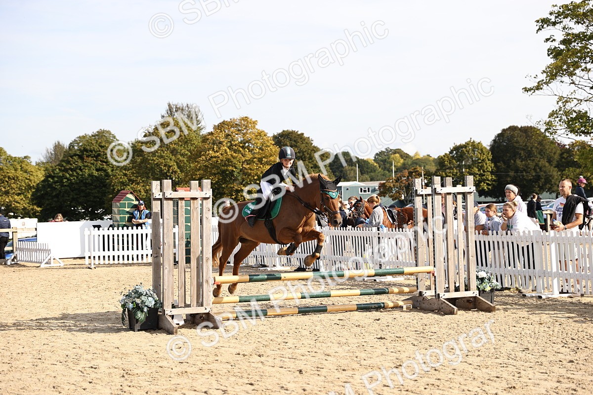 SBM_61887 - J12 - Junior Pony 55cm Championship
