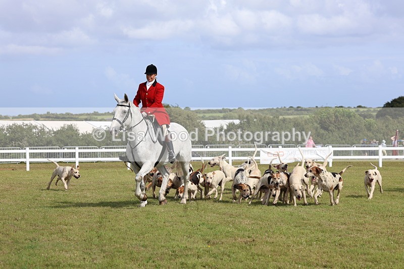 3E7A3370 - Parade of Hounds