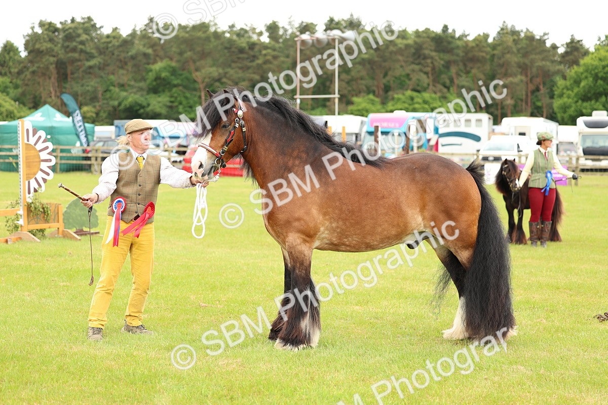 SBM_06327 - Class 39-41 TGCA In Hand and Ridden