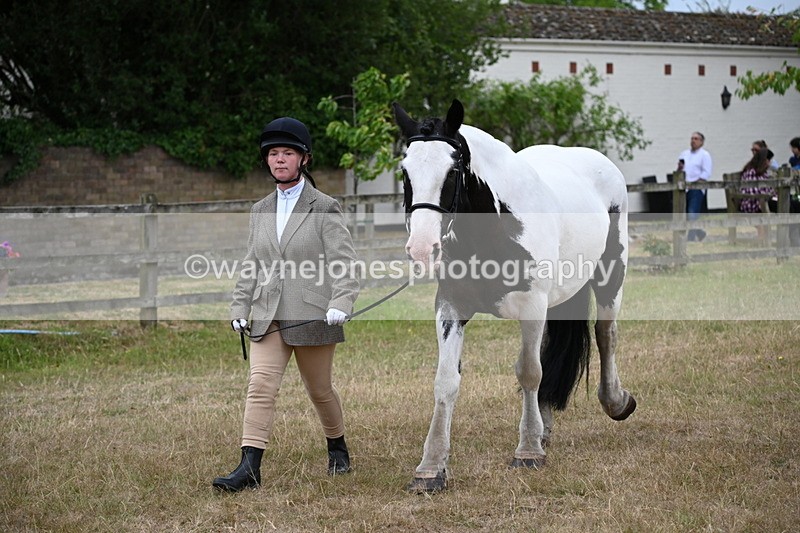 WJ6_8019 - Class 10 Coloured in Hand