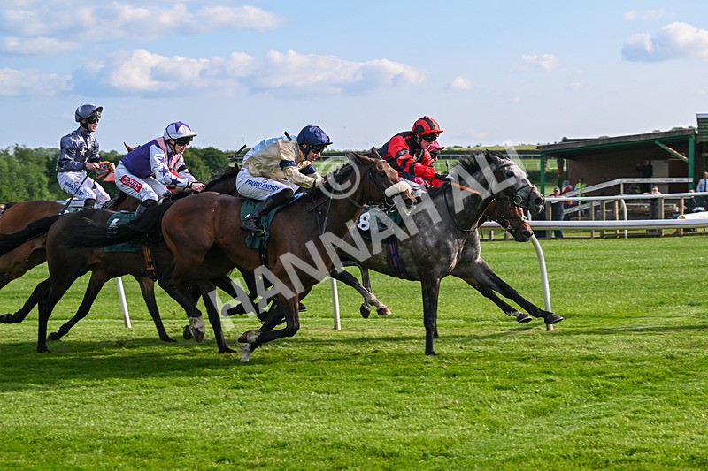 100625-Race 3-Stellarmasterpiece-6859 - Race 3