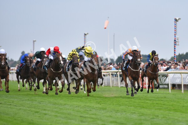 yr18082022r7-26 - Race 7 5.20pm British Stallion Studs EBF Fillies' Stakes