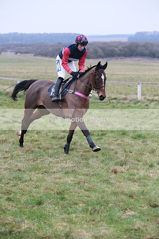 PtP 060119 8 - Larkhill Racing Club - Point-to-Point- 06/01/2019
