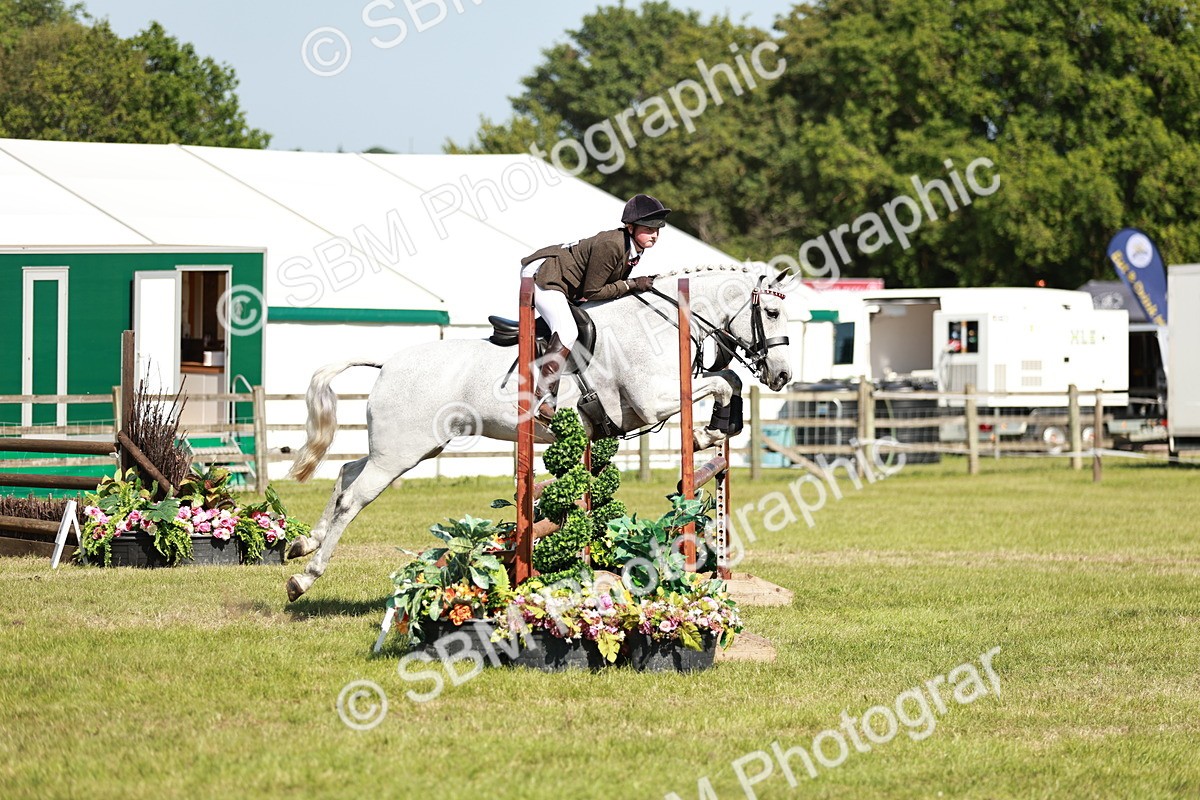 SBM_18860 - Class 114 - RIHS & SEIB Open Working Show Horse