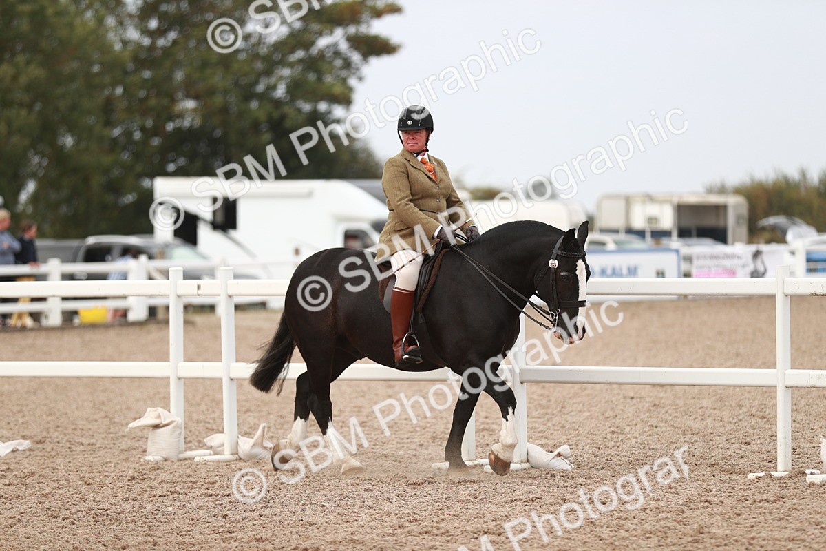 SBM_16580 - Class 214 Ridden Cob