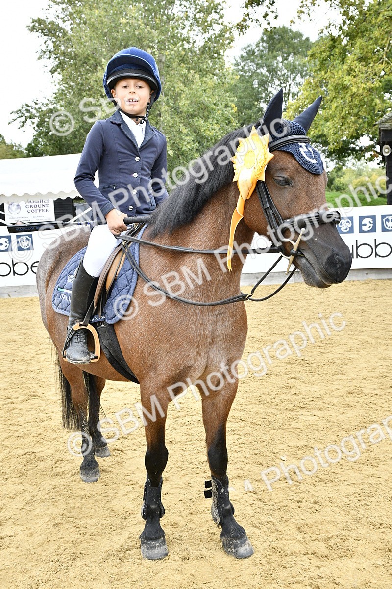 SBM_66223 - J2a mini Tour Junior Pony 30cm Championship