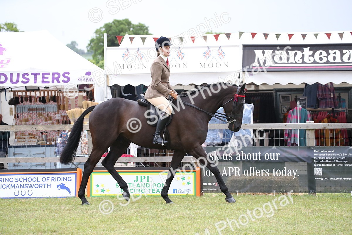 SBM_11399 - Class 94 - LIHS BSHA Racehorse to Showhorse