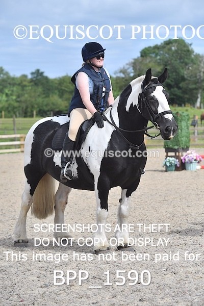 BPP_1590 - DERBY CLASS 3 - 40CM