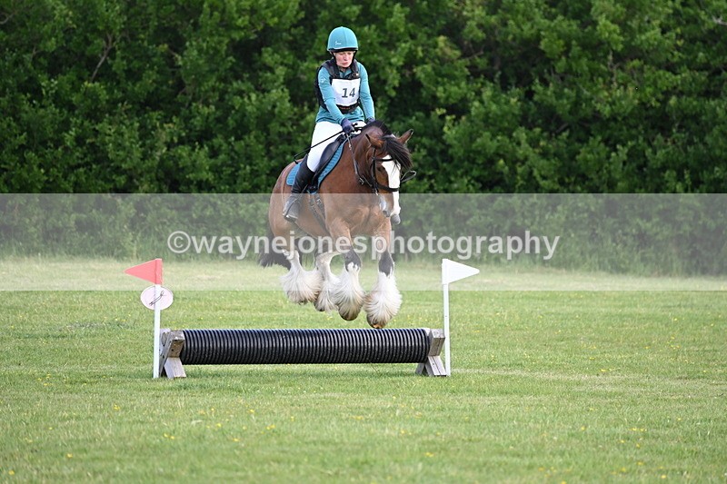 WJ6_2611 - Class 2 40cm