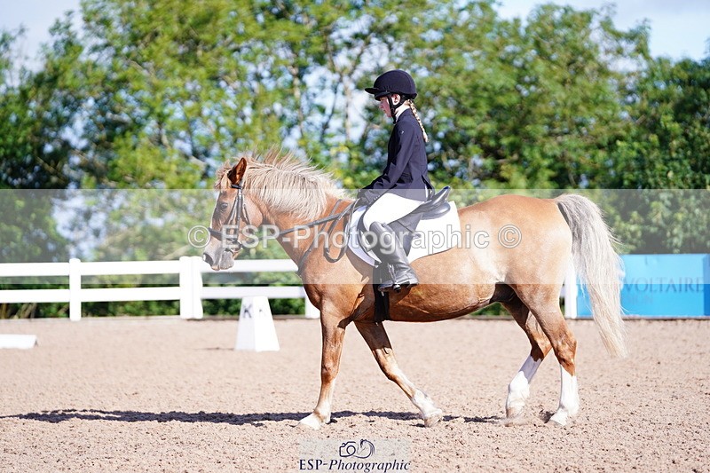 240809A-091126-00171 - Dressage Competition