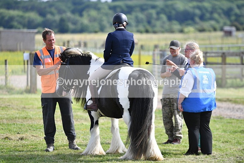 WJ5_7809 - Time 16:40 to 16:55