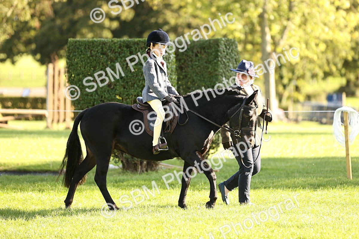 SBM_29382 - S7 - Novice & Newcomers Ridden Pony