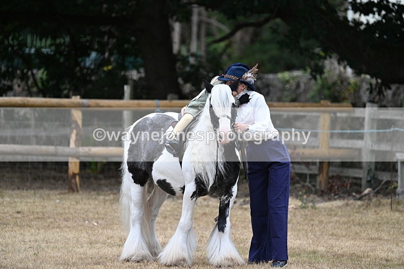 WJ7_6601 - Class 1 Lead Rein Pony