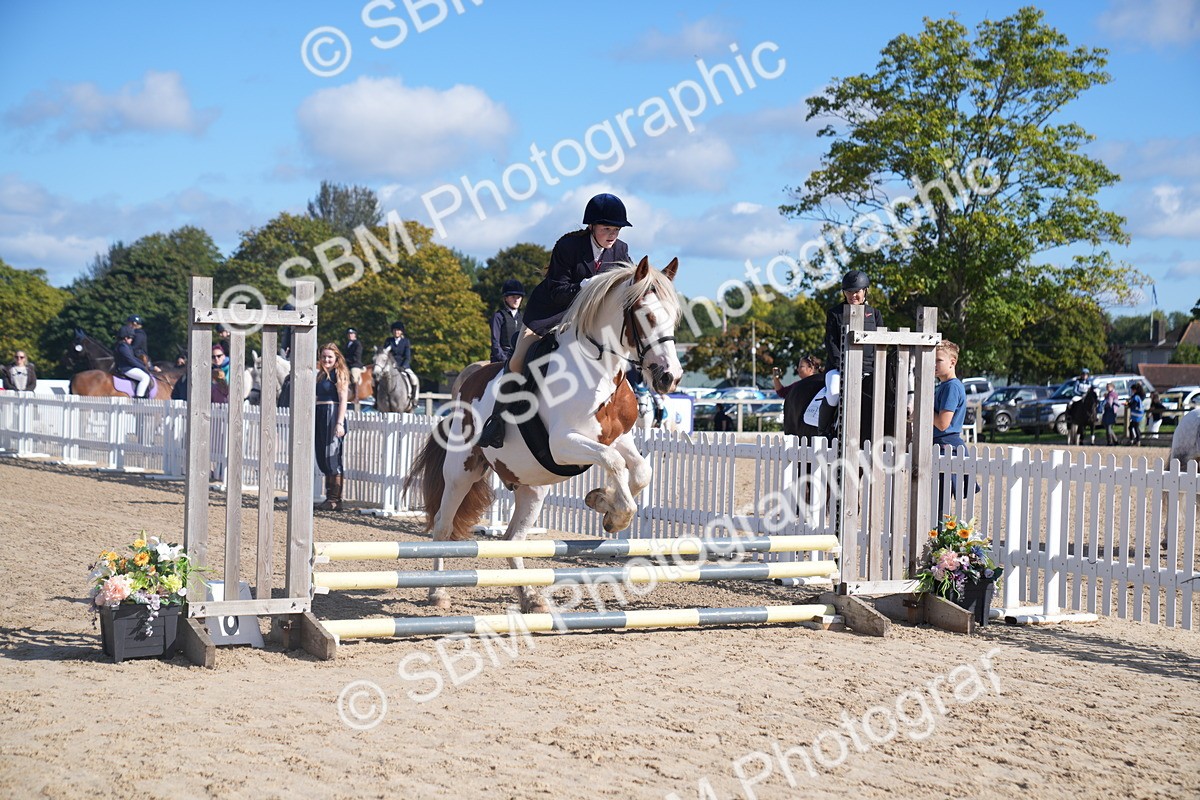 SBM_02398 - J54 Clear Round 45cm