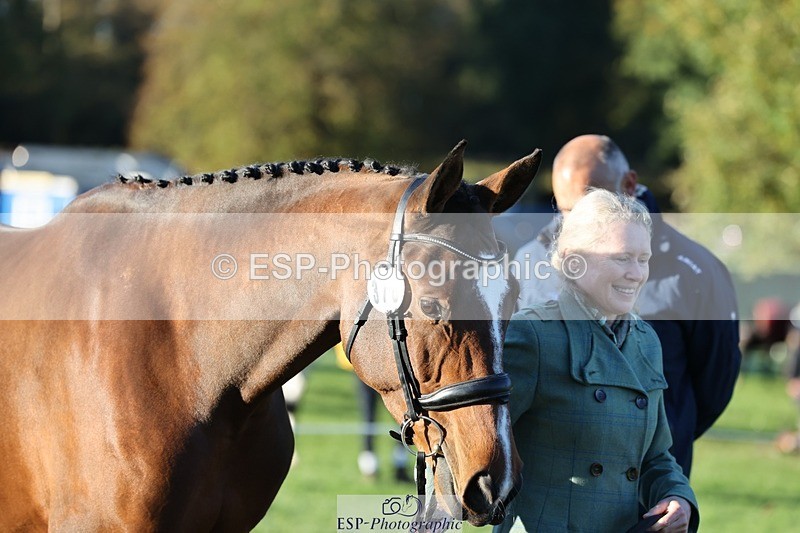 241027-083711-14695 - 378-Fern.Hordern-SHES.ALL.THAT