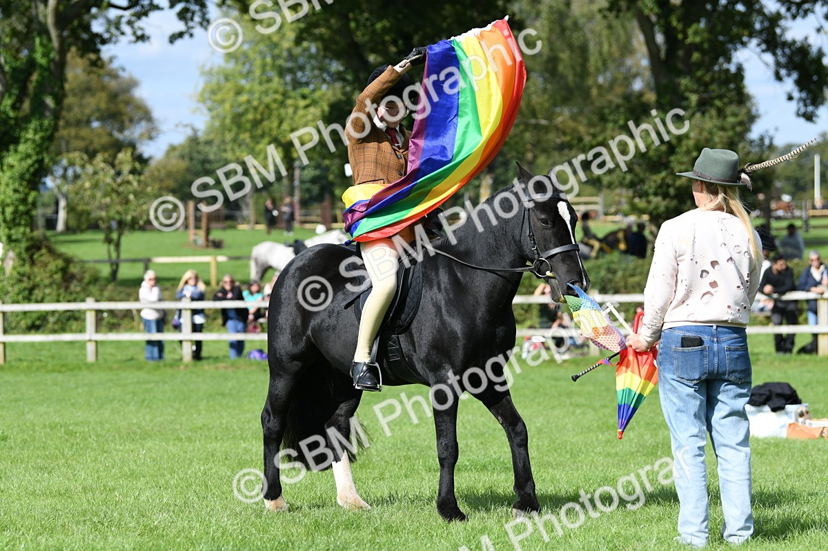 SBM_47061 - S12 - Family Horse & Pony