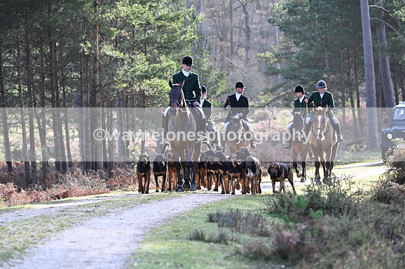 WJ7_7629 - Line 3 (no line 4 or 5)