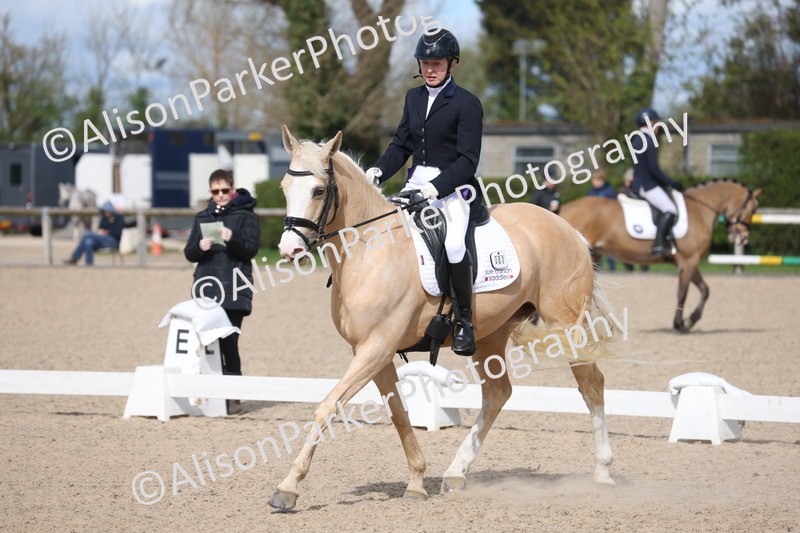 20260405-0201 - Class 3 - Novice 5